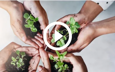 Systems Awareness Programme